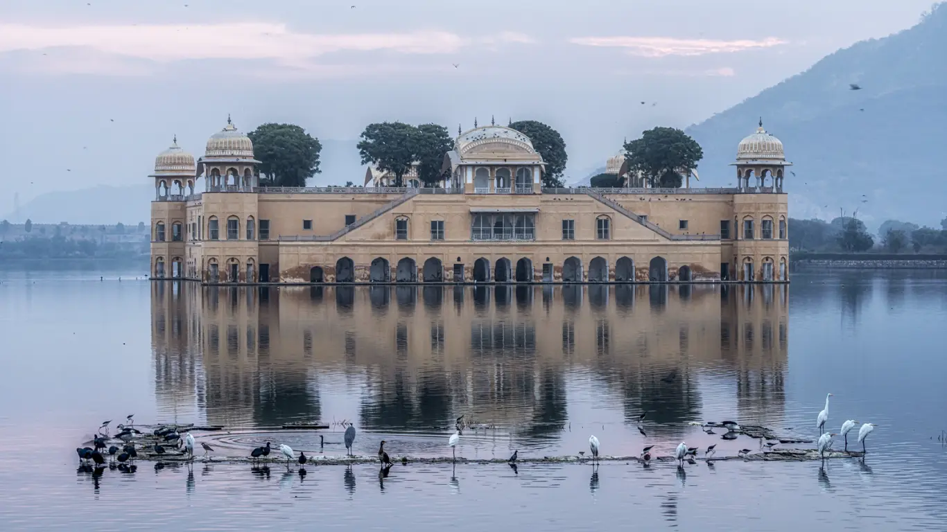 Jaipur City Private Day Tour 8 Hours